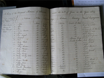 <i>A Copy of the Original Return of Slaves made the 30th of June in the Year 1817</i>