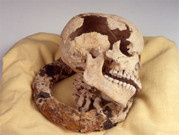 Collar and skull of enslaved individual