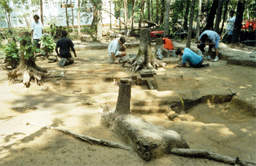 Excavation of the Rich Neck Slave Quarter