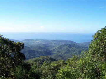 A view of the landscape that surrounded the coffee plantations of southeastern Cuba