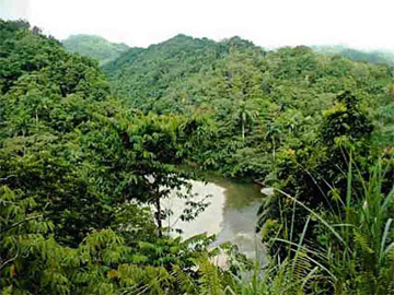 Forests and rivers of Humboldt National Park, Cuba