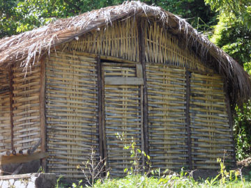Traditional bamboo thatch house at Moore Town
