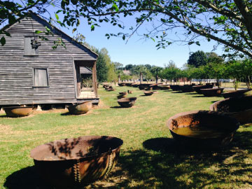 Sugar kettles and slave cabins