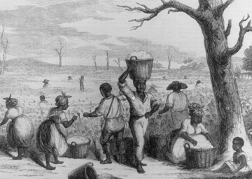 “Picking Cotton on a Georgia Plantation”